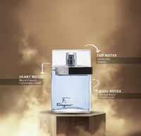 Salvatore Ferragamo F Black Pour Homme 100ml EDT Spray