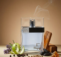 Salvatore Ferragamo F Black Pour Homme 100ml EDT Spray