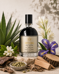 Moudon Enigma Extrait de Parfum 100ml – A Mysterious & Sophisticated Unisex Fragrance