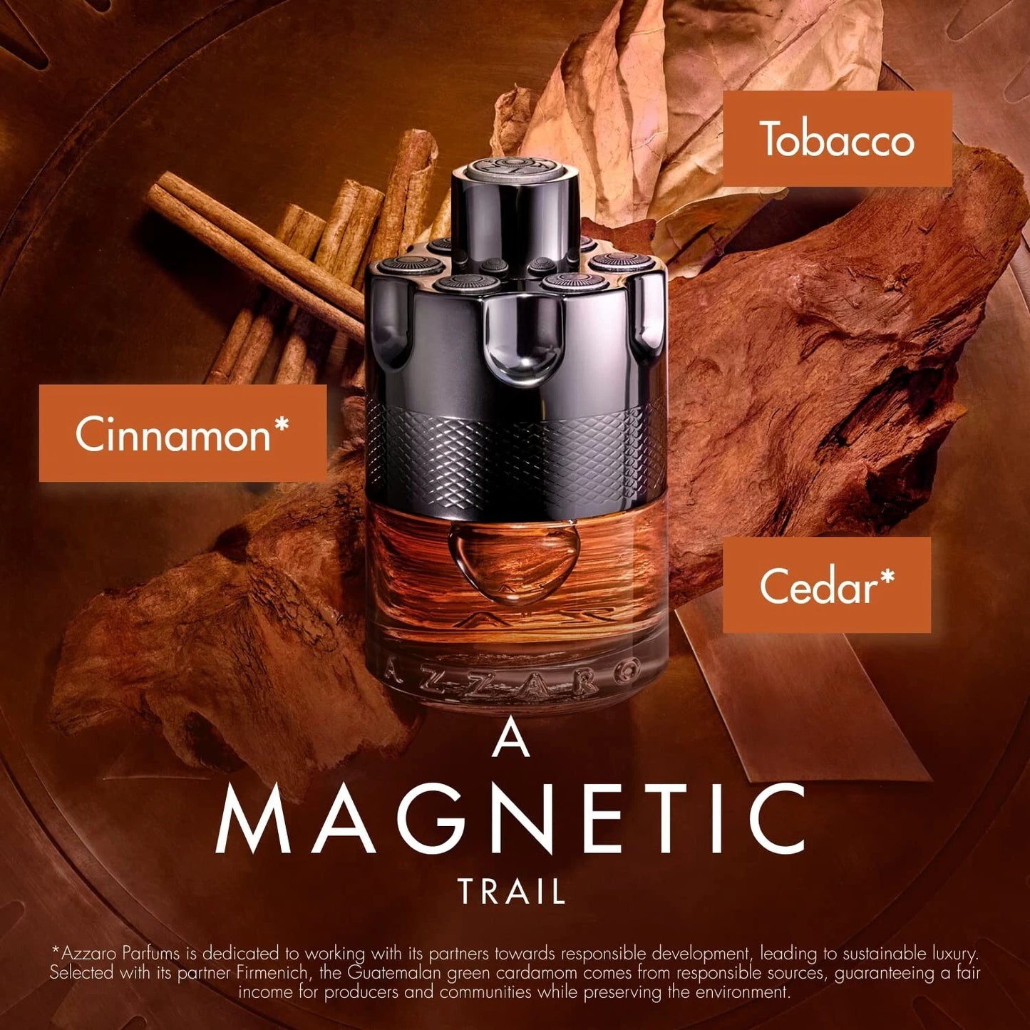 Azzaro Wanted by Night For Men Eau de Parfum 100ml