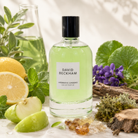 David Beckham Aromatic Greens Eau de Parfum 100ml