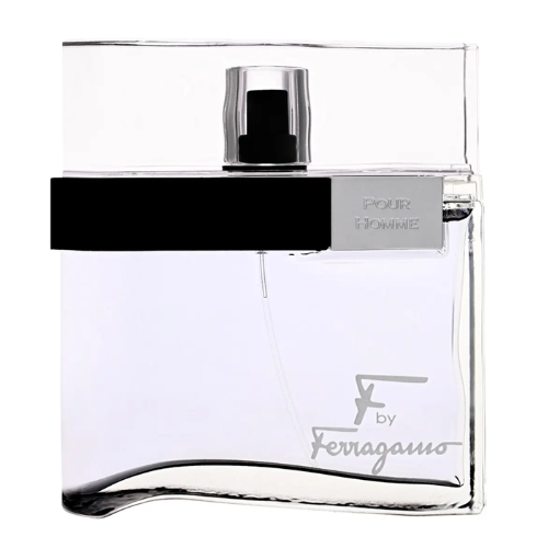 Salvatore Ferragamo F Black Pour Homme 100ml EDT Spray