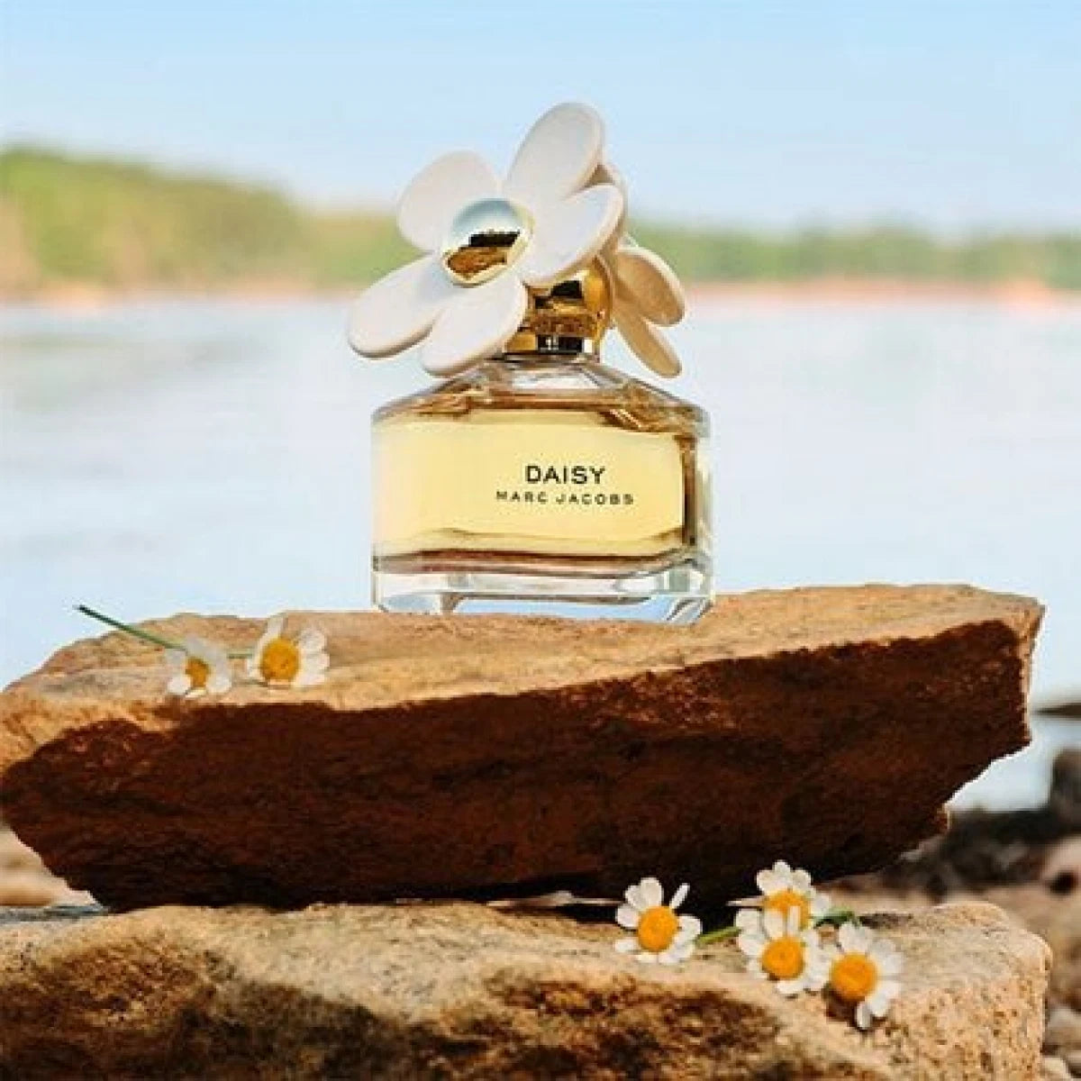 MARC JACOBS DAISY EDT-S 200ML