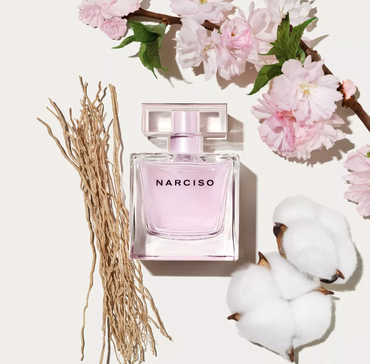 Narciso Rodriguez Narciso Radiante 50ml EDP Spray